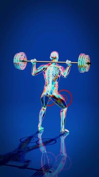 Conceptual 3D animation of an x-ray man performing a squat