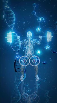 Conceptual 3D animation of an x-ray man performing a squat