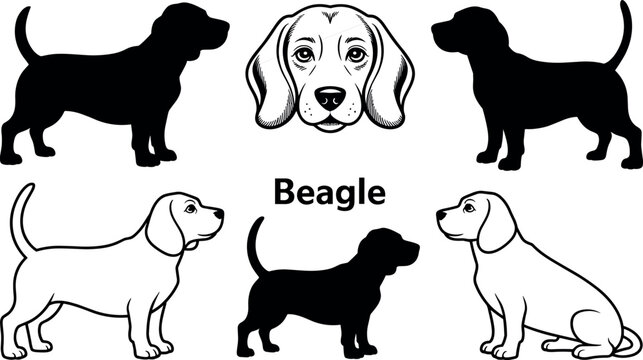Beagle dog vector set elegant black and white purebred pet silhouette and lineart illustrations