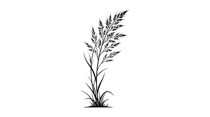 CAD tree lines Tree Black tree silhouette Black grass Minimalist wild grass silhouette vector, black botanical meadow plant illustration, elegant pampas grass stalk isolated on white background © Mst
