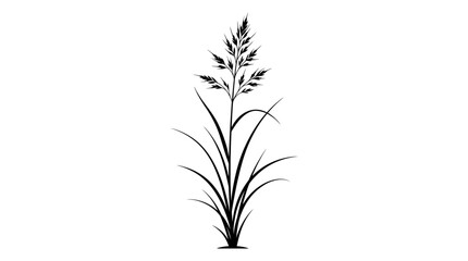 CAD tree lines Tree Black tree silhouette Black grass Minimalist wild grass silhouette vector, black botanical meadow plant illustration, elegant field grass stalk isolated on white background © Mst