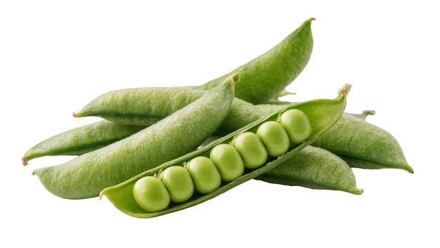 Isolated group of vibrant green pea pods with one pod opened displaying fresh peas
