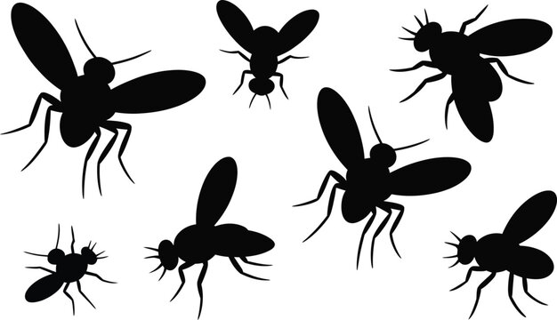 Black silhouette insect collection flies and mosquitoes vector illustration