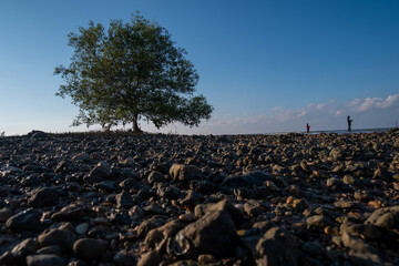 Obraz premium landscape of the dead sea