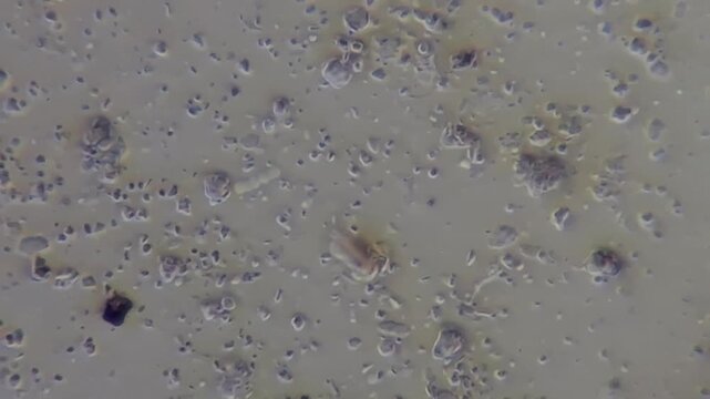 Microscopic view of particles in Brownian motion for scientific research and medical innovation