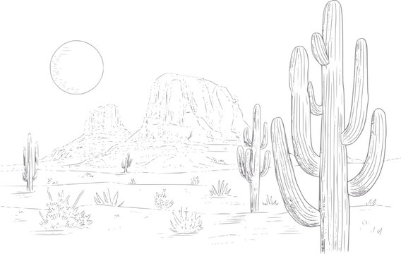 L&iacute;nea en blanco y negro de un paisaje des&eacute;rtico con cactus saguaro y mesetas rocosas distantes