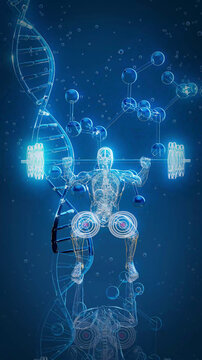 Conceptual 3D illustration of an x-ray man performing a squat