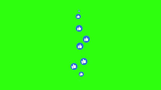 water drop on green background