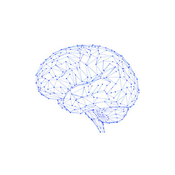 Human brain rendered as a cobalt blue low-poly geometric mesh wireframe with interconnected nodes on a transparent background. Concept of advanced neuroscience