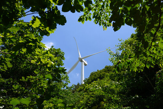 Looking Up at a Wind Turbine Through Green Forest Treetops Under a Clear Blue Sky