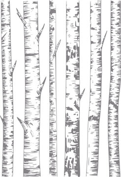 Un dise&ntilde;o minimalista en blanco y negro con un patr&oacute;n de troncos de abedul verticales con corteza texturizada