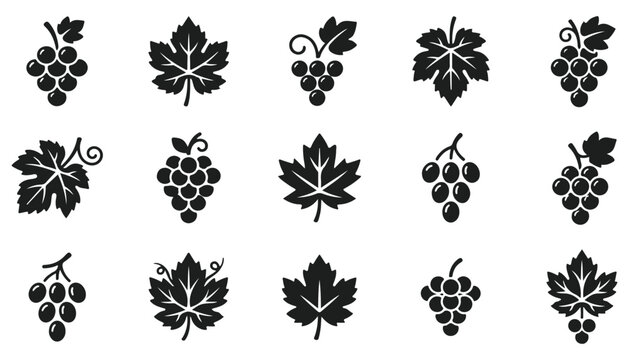 Set of grape icons and vine leaves isolated on white background