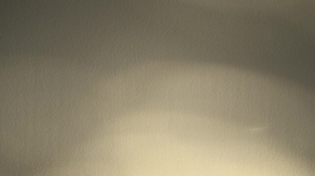 Leaf shadows and sunlight moving across textured plaster wall, natural light