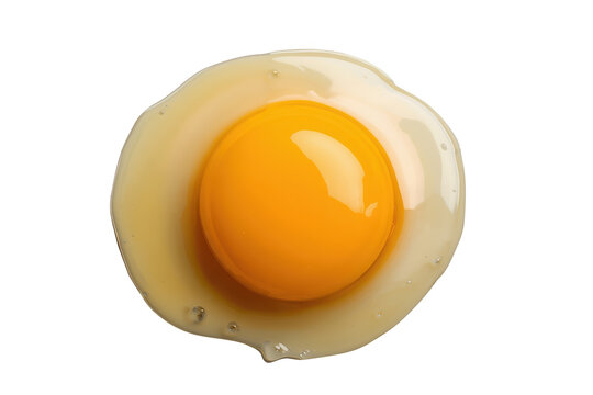 Raw egg yolk and white fresh organic food ingredient for healthy cooking isolated with transparent background