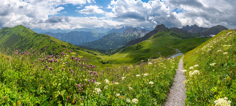 mountain colored flowers in little valley of Walser with green meadows and steep rocky slope in the alps of Bregenzerwald, with rocky mountains and steep, stony slopes on a rainy day with clouds.