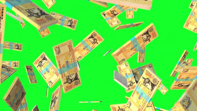 Bhutanese 1000 Ngultrum banknote packs falling loop. Bhutanese money note fall. 3D seamless looped isolated abstract concept of economy, finance, crisis, success and banking on green screen.
