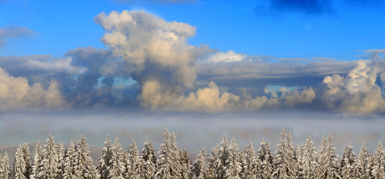 Wolken &uuml;ber verschneite Waldlandschaft, &Ouml;sterreich, Europa, Panorama 