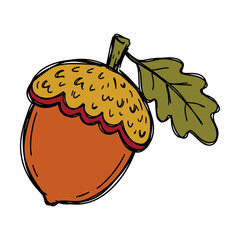 A single brown acorn nut with a green leaf and textured cap drawn in a simple doodle style Vector © alien AZ