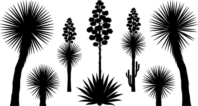 Black silhouette collection of desert yucca trees, agave, and blooming succulent plants isolated on white background