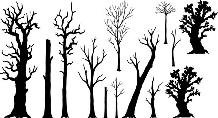 Vector collection of black silhouette bare trees, dead wood trunks, and spooky leafless branches isolated on white background © Jahanara