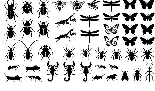 Insects and Bugs Silhouette Mega Bundle Featuring Diverse Butterflies Dragonflies Spiders Beetles and Scorpions for Entomology Research Graphic Layouts and Educational Diagrams