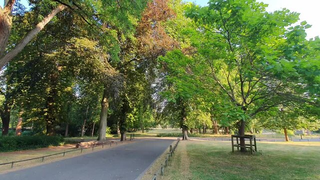 Trees at Local Public Park of Luton City England UK, Footage Was Captured During Walk on July 9th, 2026.