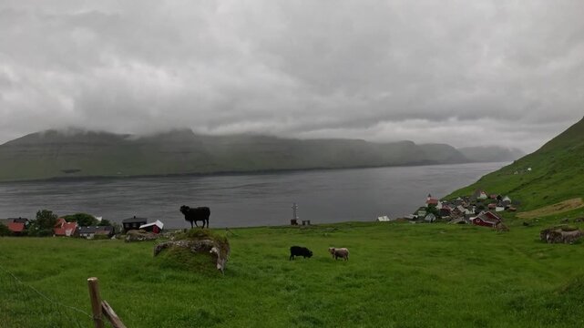Scenic overlook of Funningur village and fjord with sheep grazing, Faroe Islands