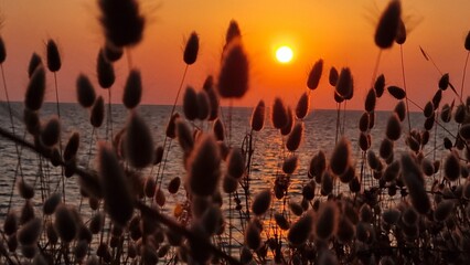 Obraz premium sunset sun orange colors dry grass ligthhouse in mitikas preveza perfecture greece