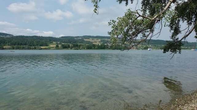 Der Greifensee in der Schweiz, Blick auf den See im Sommer von Uster aus, Natur im Hochsommer in einem Naturschutzgebiet