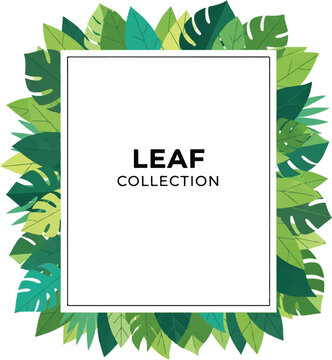 Modern minimalist leaf collection poster template