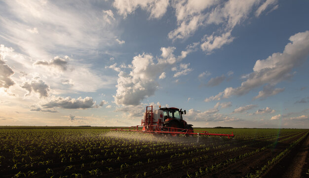 Tractor sprayer working on a young maize field