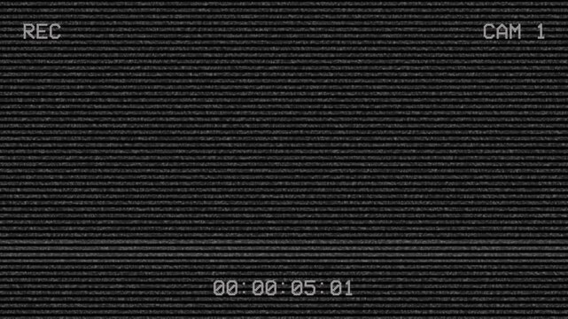 Retro cctv screen with static noise and recording interface
