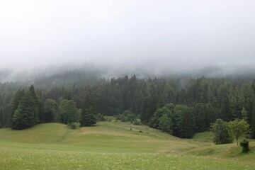 Fototapeta premium A mountain forest with mist rising from it