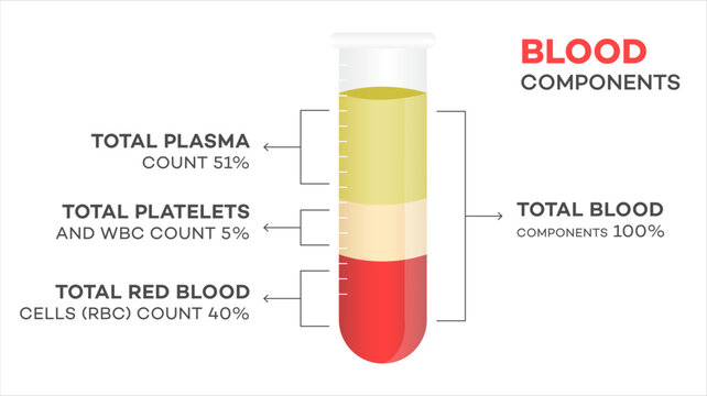 Educational diagram illustrates human blood components separated by centrifugation plasma 51, platelets and WBC 5, red blood cells 40. Total blood 100 shown within a glass test tube.