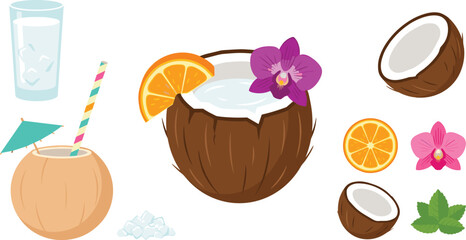 Tropical Summer Coconut Cocktail and Refreshing Beach Drink Vector Clipart Set with Orange Slice, Orchid Flower, Coconut Halves, and Mint Leaf Decorative Elements © MD