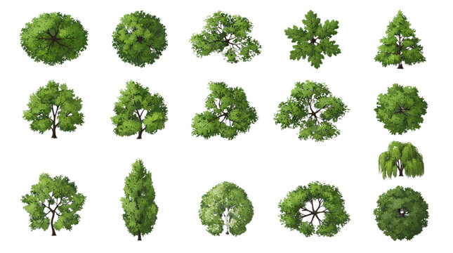 Realistic Top View Green Tree Vector Icon Set Isolated on Transparent Background for Landscape Architecture Site Plans Urban Planning and Mapping