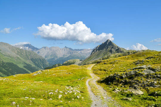 Gravel hiking trail across high alpine meadow