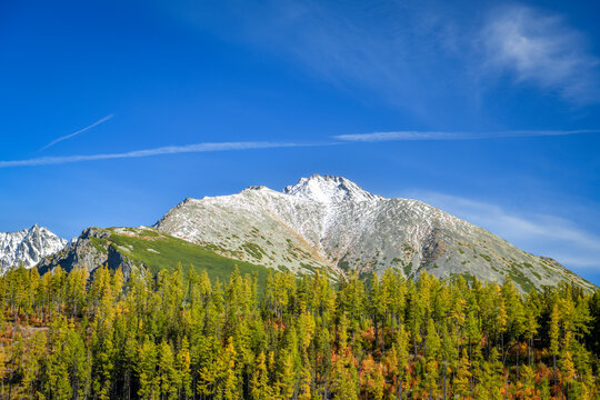 Snow dusted peak above golden autumn larch forest