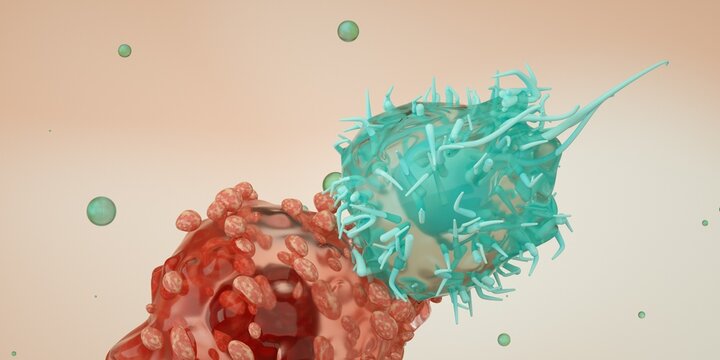 Cytotoxic T cells (blue) attack a cancer cell (red). Killer T-cell or B-cell concept. CAR T-Cell Therapy. White blood cells. Natural killer cell. Photo stock	