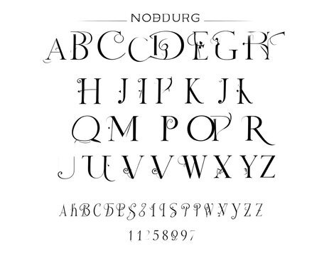 Decorative Alphabet Font.