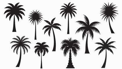Fototapeta premium Black palm trees set isolated on white background. Palm silhouettes. Design of palm trees for posters, banners and promotional items. Vector illustration . 