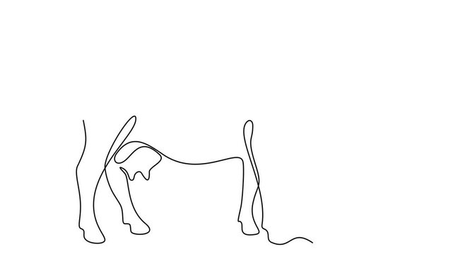 Animated self drawing of continuous line draw of Cow animal. Full length one line animation. 4K	
 
