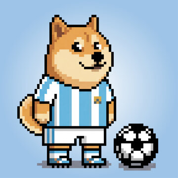 Pixel Art Doge Meme in Argenitna Football Jersey
