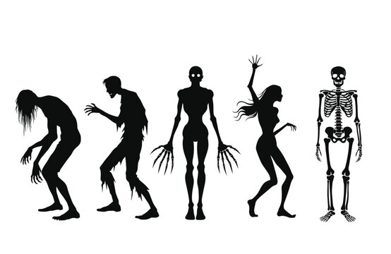 Spooky Halloween Monster Silhouettes and Skeleton Character Vector Set