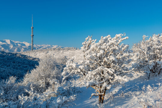 Snow-covered hills and mountains with the famous TV tower on Kok Tobe Hill in the Kazakh city of Almaty on a winter morning.