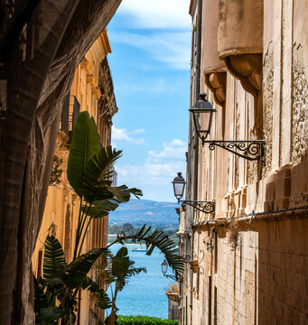 a glimpse of an alleyway overlooking the blue Sicilian sea, with a large palm tree in the foreground