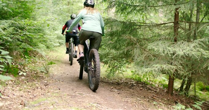 Two mountain bikers pedaling through green coniferous forest