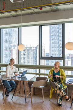 Women Work on Laptops in Modern Office Space With City View