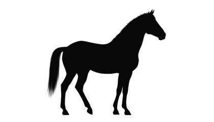 Obraz premium Horse silhouette stands in a poised profile position against a clean and solid white background area.