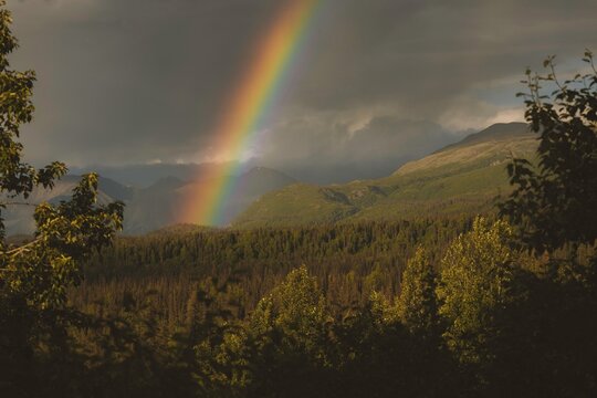 Alaskan wilderness rainbow